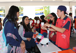 Opción Técnica Bancario